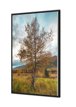 Load image into Gallery viewer, Mountain-view Autumn Tree – Gallery Canvas Wraps, Vertical Frame
